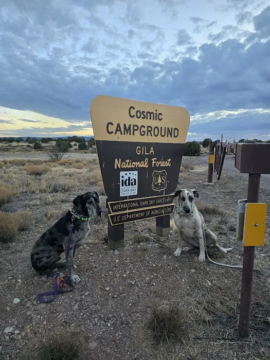 Cosmic Campground Picture 5