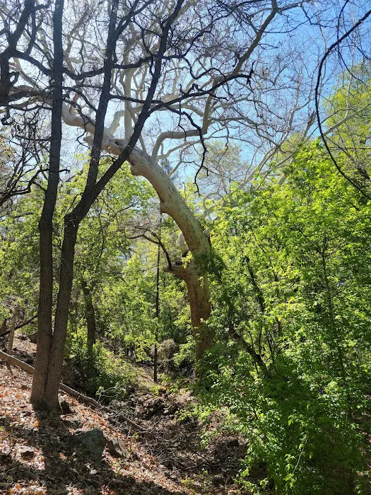 Upper Juan Miller Campground Picture 2