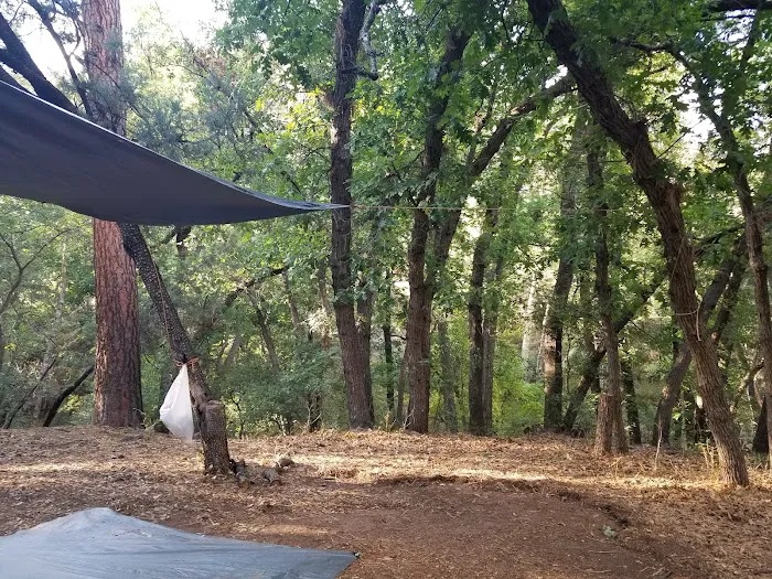 Lower Juan Miller Campground Picture 3