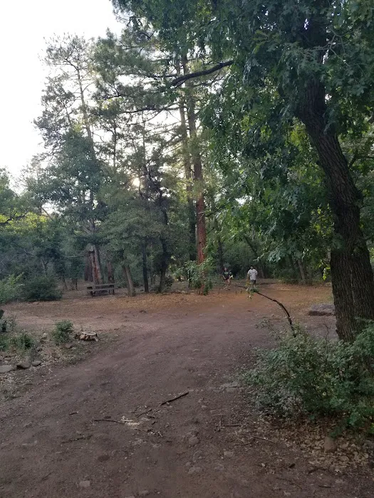 Lower Juan Miller Campground Picture 6