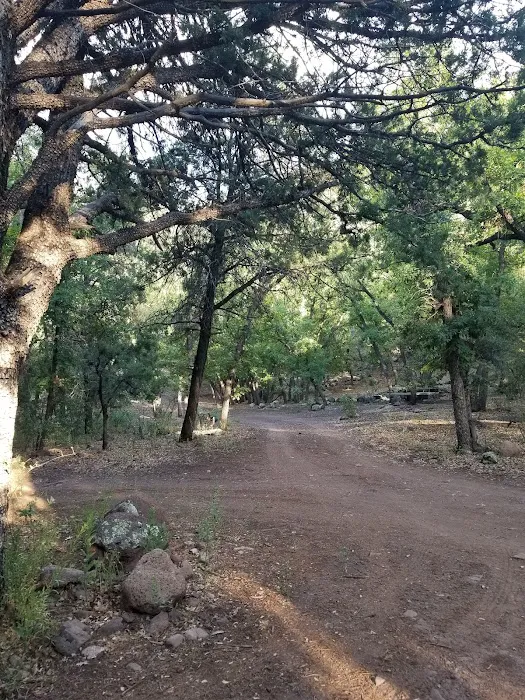 Lower Juan Miller Campground Picture 9