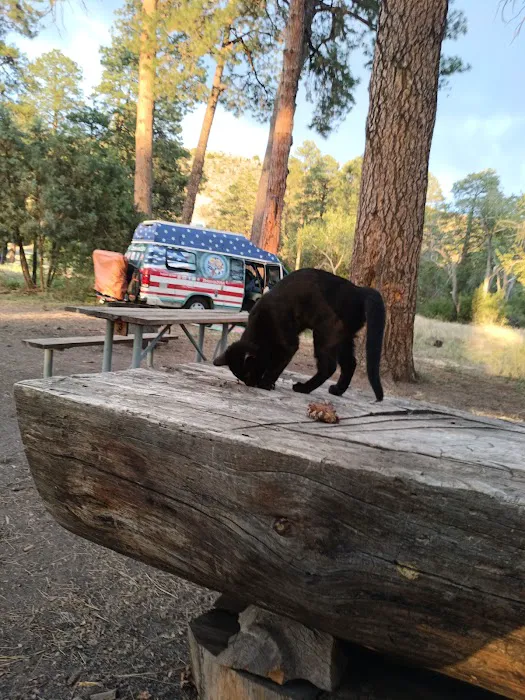 Apache Creek Campground Picture 9