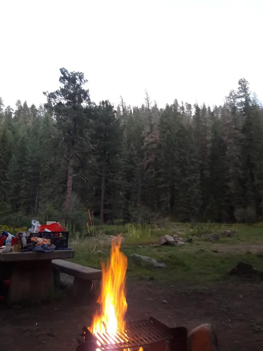 Ben Lilly Campground Picture 7