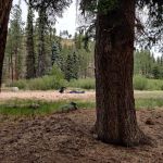 Willow Creek Campground