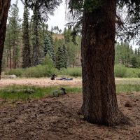 Willow Creek Campground ico
