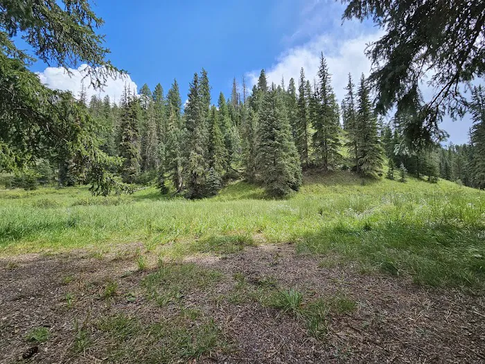 Willow Creek Campground Picture 2