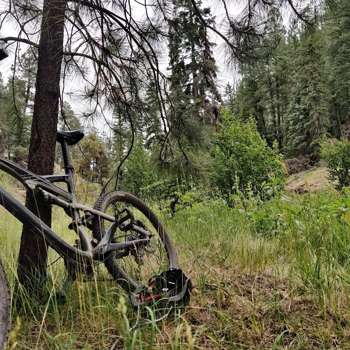 Willow Creek Campground Picture 7
