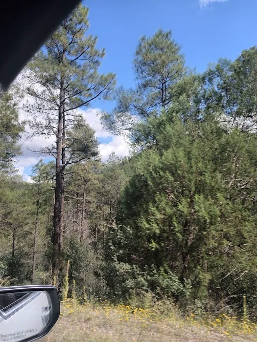Jewett Gap Campground and Rest Area Picture 3