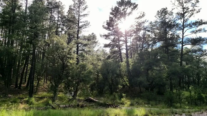 Jewett Gap Campground and Rest Area Picture 4