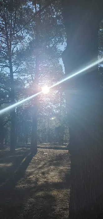 Armijo Campground Picture 1