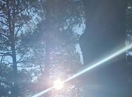 Armijo Campground