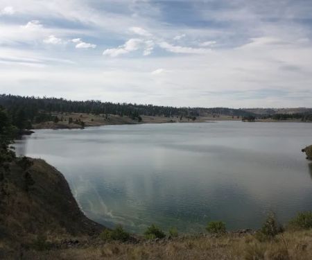 Dipping Vat Campground