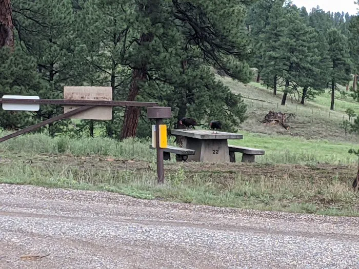 Dipping Vat Campground Picture 4