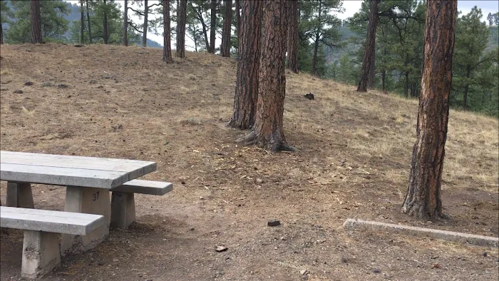 Dipping Vat Campground Picture 6