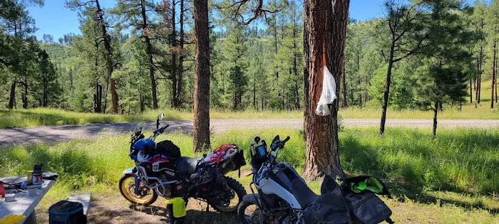 Dipping Vat Campground Picture 9