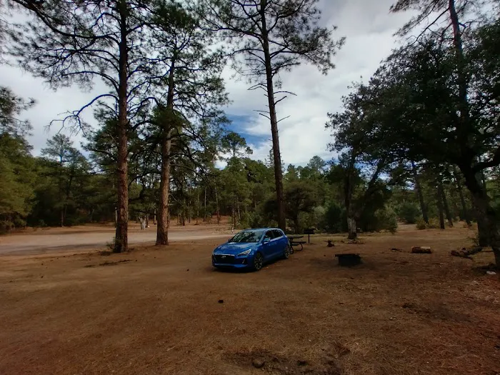 Black Jack Campground Picture 2