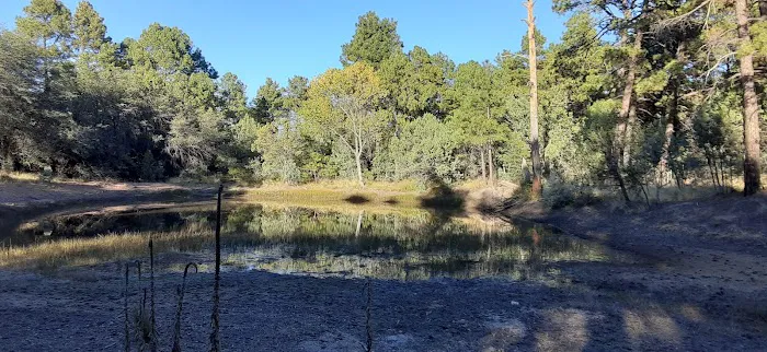 Black Jack Campground Picture 4