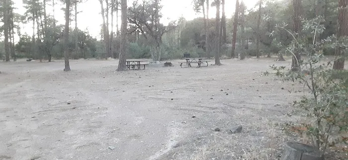 Black Jack Campground Picture 9