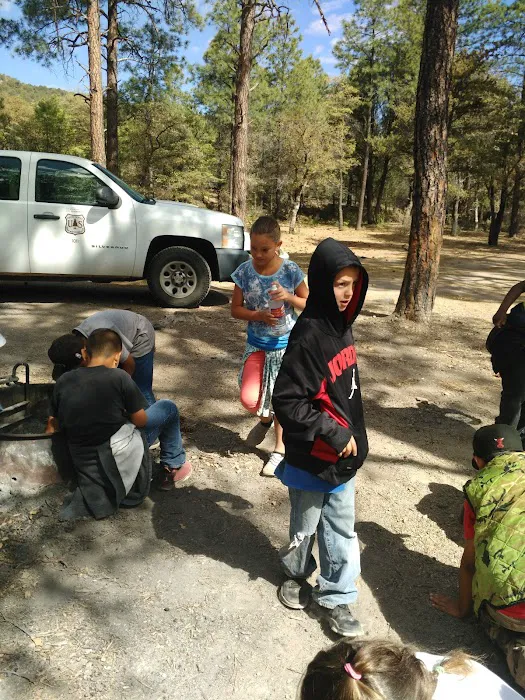 Black Jack Campground Picture 6