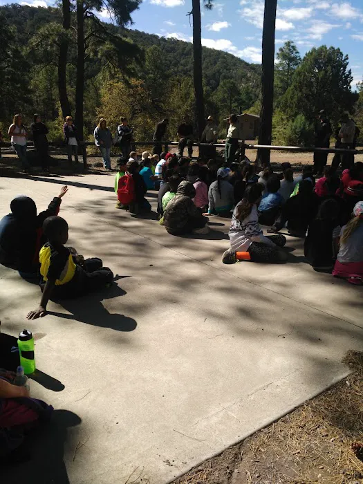 Black Jack Campground Picture 10