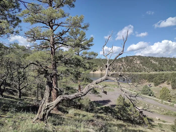 Juniper Campground Picture 5