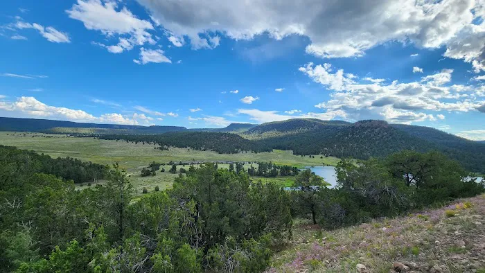Piñon Campground Picture 2