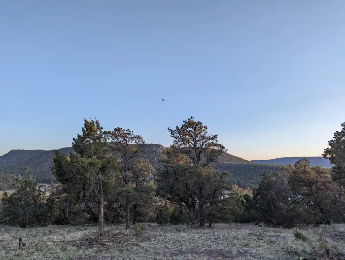 Piñon Campground Picture 3