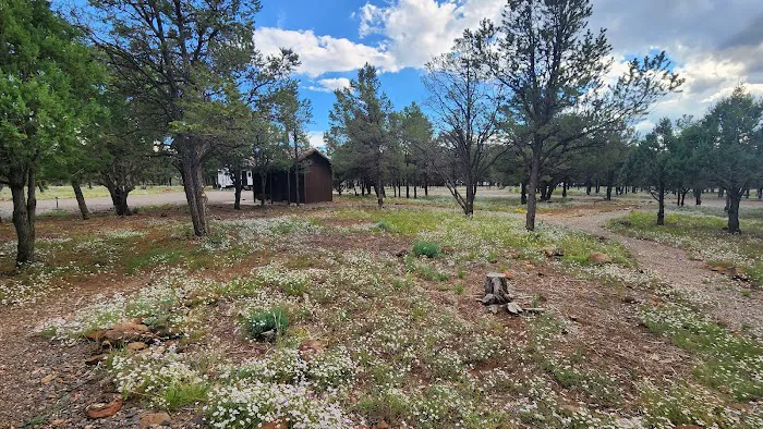 Piñon Campground Picture 1