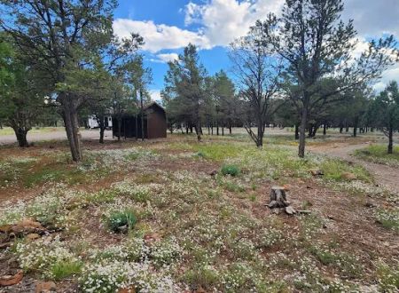 Piñon Campground