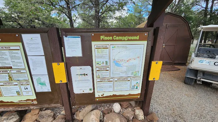 Piñon Campground Picture 7