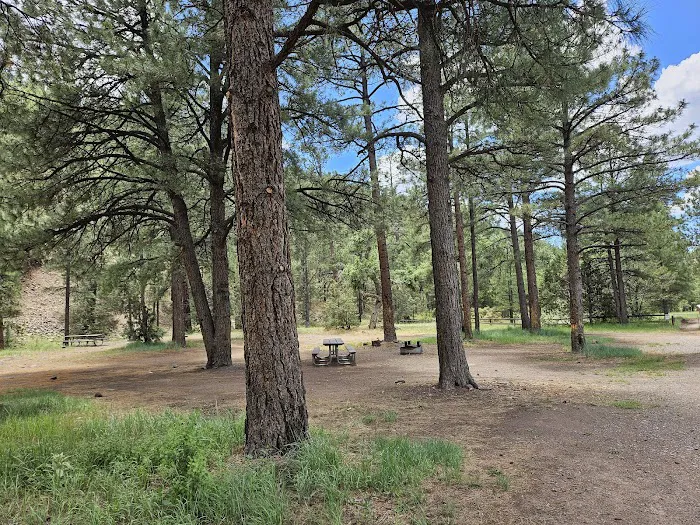 El Caso Throwdown Campground Picture 1