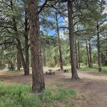 El Caso Throwdown Campground