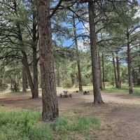 El Caso Throwdown Campground ico