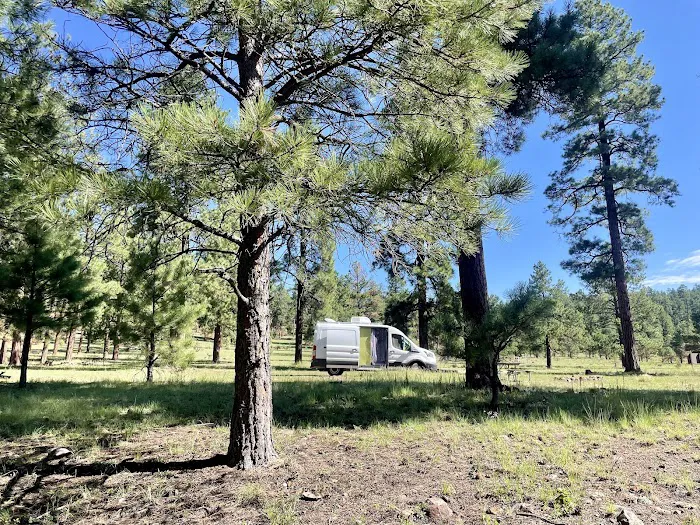 Valle Tio Vences Campground - Gila NF Picture 2