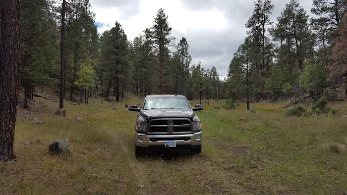 Valle Tio Vences Campground - Gila NF Picture 1