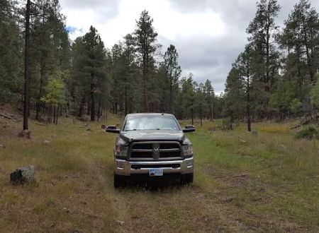 Valle Tio Vences Campground - Gila NF