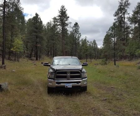 Valle Tio Vences Campground - Gila NF