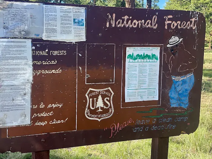 Valle Tio Vences Campground - Gila NF Picture 5
