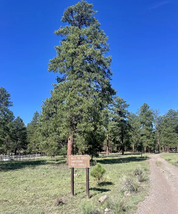 Valle Tio Vences Campground - Gila NF Picture 9