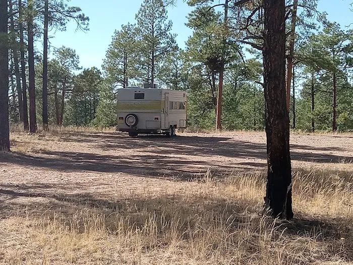 Wolf Hollow Campground Picture 1