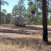 Wolf Hollow Campground ico