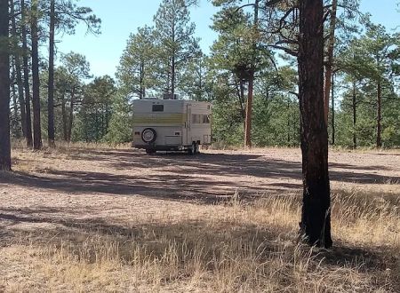 Wolf Hollow Campground