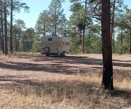 Wolf Hollow Campground