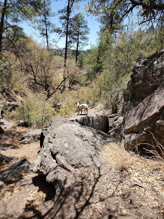 Upper Scorpion Campground Picture 1