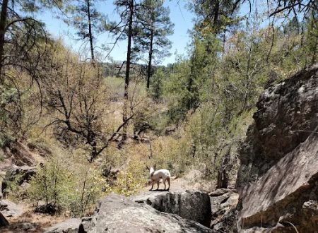 Upper Scorpion Campground