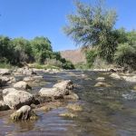 Riverview Campground (recgovnpsdata)