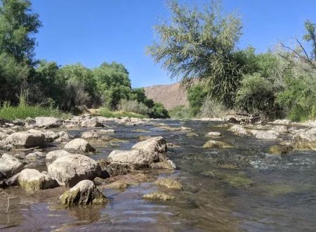 Riverview Campground (recgovnpsdata)