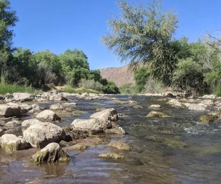 Riverview Campground (recgovnpsdata)