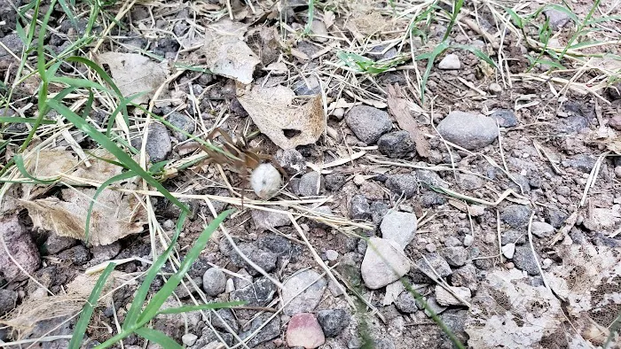 Riverview Campground (recgovnpsdata) Picture 9