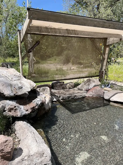 Gila Hot Springs & Campground Picture 2